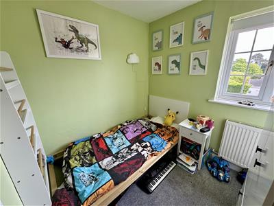 Picture 11